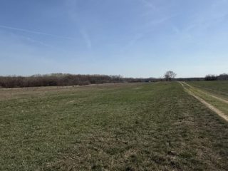 Eladó 1000 m²-estelek XVII. Kerület (Rákoshegy) , reptér közeli utca: 5'500'000 Ft