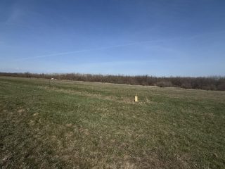 Eladó 1000 m²-estelek XVII. Kerület (Rákoshegy) , reptér közeli utca: 5'500'000 Ft