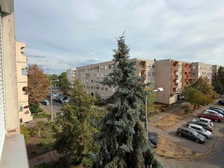 Kiadó 27 m²-estársasházi lakás XVII. Kerület (Rákoskeresztúr) , Borsó utca: 180'000 Ft