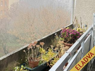 Eladó 50 m²-estársasházi lakás XVII. Kerület (Rákoskeresztúr) , Földműves u környékén lévő utca: 59'900'000 Ft