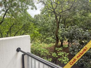Eladó 36 m²-estársasházi lakás XVII. Kerület (Rákoskeresztúr) , Kis utca: 55'200'000 Ft