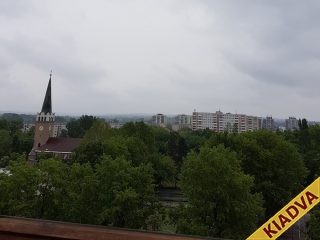 Kiadó 46 m²-estársasházi lakás XVII. Kerület (Rákoskeresztúr) , Pesti út: 190'000 Ft