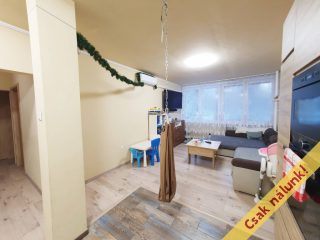 Eladó 63 m²-estársasházi lakás XVII. Kerület (Rákoskeresztúr) , Pesti úti lakótelep: 74'900'000 Ft