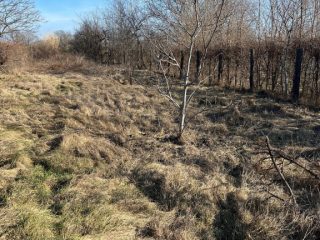 Eladó 855 m²-estelek XVII. Kerület (Rákoskeresztúr) , Pesti úti lkp közeli zártkerti utca: 9'800'000 Ft