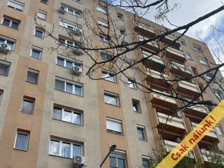 Eladó 51 m²-estársasházi lakás XVII. Kerület (Rákoskeresztúr) , Újlak utca: 63'500'000 Ft