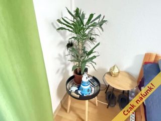 Eladó 36 m²-estársasházi lakás XVII. Kerület (Rákoskeresztúr) , Újlak utca: 55'200'000 Ft