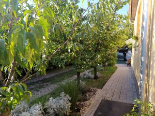 Eladó 105 m²-escsaládi ház XVII. Kerület (Rákoskert) , Bodonyi utca környéki utca: 120'500'000 Ft