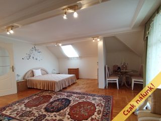 Eladó 172 m²-escsaládi ház XVII. Kerület (Rákoskert) , Erzsébet körút környéki utca: 198'000'000 Ft