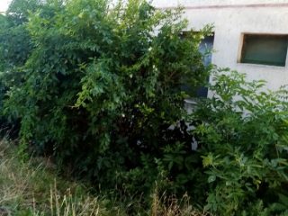 Eladó 110 m²-escsaládi ház XVII. Kerület (Rákoskert) , Rákoskert utca: 89'500'000 Ft