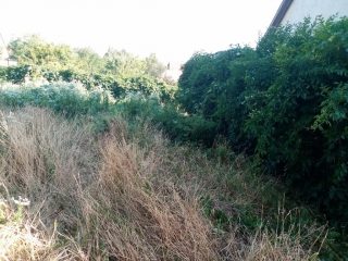 Eladó 110 m²-escsaládi ház XVII. Kerület (Rákoskert) , Rákoskert utca: 89'500'000 Ft