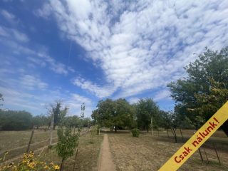 Eladó 835 m²-estelek XVII. Kerület (Rákosliget) , Forrásmajor utca: 22'500'000 Ft