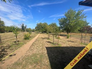 Eladó 835 m²-estelek XVII. Kerület (Rákosliget) , Forrásmajor utca: 22'500'000 Ft