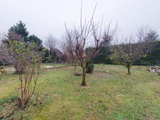 Eladó 123 m²-escsaládi ház XVII. Kerület (Strázsahegy) , Rákoskert Strázsahegy csendes utca: 120'900'000 Ft