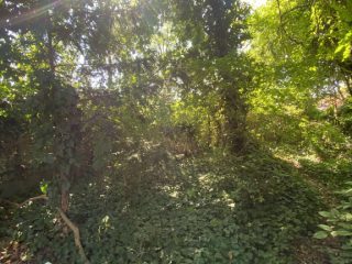 Eladó 117 m²-estársasházi lakás XVIII. Kerület (Bókaytelep) , Üllői út: 89'000'000 Ft