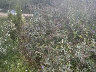 Eladó 40 m²-esikerház XVIII. Kerület (Ferihegy) , Győmrői út: 44'000'000 Ft