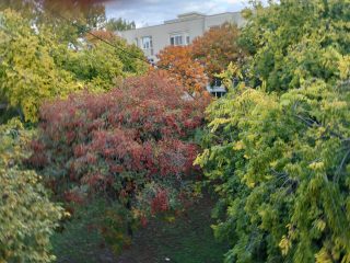 Eladó 43 m²-estársasházi lakás XVIII. Kerület (Lakatostelep) , Lakatostelep: 54'900'000 Ft