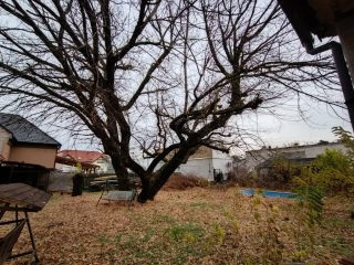 Eladó 137 m²-escsaládi ház XX. Kerület (Erzsébetfalva) , Hosszú utca: 99'000'000 Ft