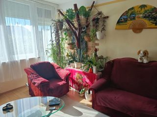 Eladó 56 m²-estársasházi lakás XX. Kerület (Gubacsipuszta) , Eperjes utca: 64'900'000 Ft