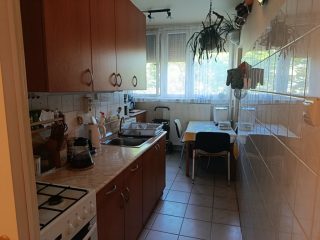 Eladó 56 m²-estársasházi lakás XX. Kerület (Gubacsipuszta) , Eperjes utca: 64'900'000 Ft