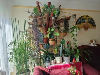 Eladó 56 m²-estársasházi lakás XX. Kerület (Gubacsipuszta) , Eperjes utca: 64'900'000 Ft