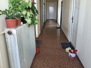 Eladó 58 m²-estársasházi lakás XX. Kerület (Gubacsipuszta) , Károly utca: 72'000'000 Ft