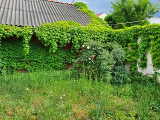 Eladó 30 m²-estársasházi lakás XX. Kerület (Kossuthfalva) , Csallóköz utca: 26'900'000 Ft
