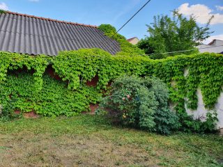Eladó 30 m²-estársasházi lakás XX. Kerület (Kossuthfalva) , Csallóköz utca: 26'900'000 Ft