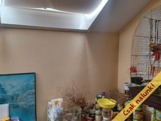 Eladó 53 m²-estársasházi lakás XX. Kerület (Központ) , Török Flóris utca közeli utca: 55'000'000 Ft