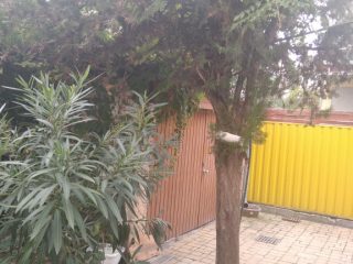 Eladó 125 m²-escsaládi ház XX. Kerület (Pacsirta telep) , Dessewfy utca: 93'000'000 Ft