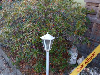 Eladó 24 m²-estársasházi lakás XX. Kerület (Szabó telep) , Ady Endre utcai Sporttelep közelében: 26'000'000 Ft