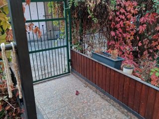 Kiadó 38 m²-esházrész XX. Kerület (Szabó telep) , Lázár u. közelében utca: 180'000 Ft