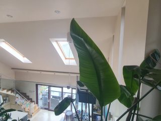 Eladó 149 m²-escsaládi ház XX. Kerület (Szabó telep) , SZONDI utca: 165'000'000 Ft