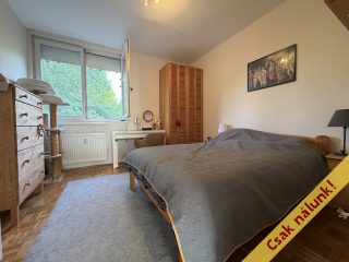 Eladó 55 m²-estársasházi lakás XXI. Kerület (Belváros (Városközpont)) , Templom utca: 59'900'000 Ft