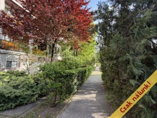 Eladó 55 m²-estársasházi lakás XXI. Kerület (Belváros (Városközpont)) , Templom utca: 59'900'000 Ft