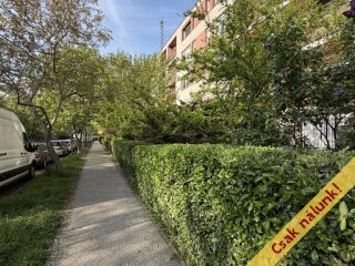 Eladó 55 m²-estársasházi lakás XXI. Kerület (Belváros (Városközpont)) , Templom utca: 59'900'000 Ft