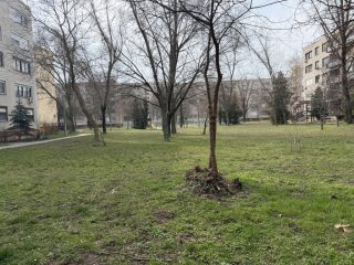 Eladó 63 m²-estársasházi lakás XXI. Kerület (Csillagtelep) , Csillagtelep: 68'900'000 Ft