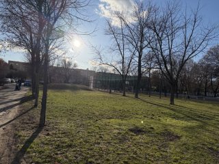 Eladó 62 m²-estársasházi lakás XXI. Kerület (Csillagtelep) , Nyírfa utca: 61'000'000 Ft