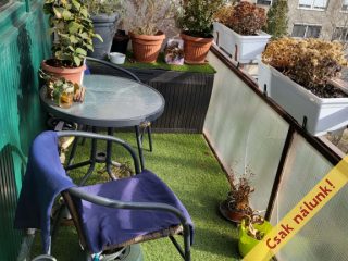 Eladó 62 m²-estársasházi lakás XXI. Kerület (Csillagtelep) , Rakéta utca: 61'900'000 Ft