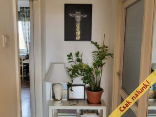 Eladó 62 m²-estársasházi lakás XXI. Kerület (Csillagtelep) , Rakéta utca: 61'900'000 Ft