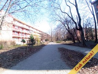 Eladó 45 m²-estársasházi lakás XXI. Kerület (Csillagtelep) , TEJÚT utca: 47'900'000 Ft