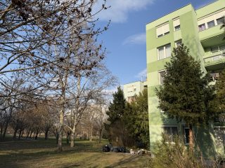 Eladó 64 m²-estársasházi lakás XXI. Kerület (Erdősor) , Erdősor Lakótelep: 59'900'000 Ft