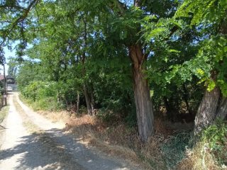 Eladó 1473 m²-estelek XXI. Kerület (Háros) , ALMAFA utca: 14'800'000 Ft