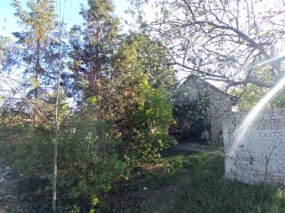 Eladó 25 m²-escsaládi ház XXI. Kerület (Háros) , CSERESZNYEFA utca: 32'000'000 Ft