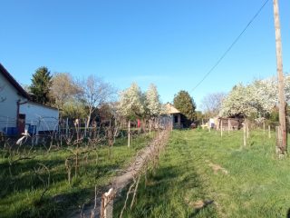 Eladó 25 m²-escsaládi ház XXI. Kerület (Háros) , CSERESZNYEFA utca: 32'000'000 Ft