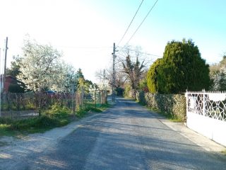 Eladó 25 m²-escsaládi ház XXI. Kerület (Háros) , CSERESZNYEFA utca: 32'000'000 Ft