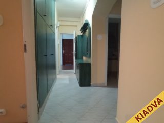 Kiadó 54 m²-estársasházi lakás XXI. Kerület (Vízmű lakótelep) , II.RÁKÓCZI FERENC út: 175'000 Ft