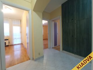 Kiadó 54 m²-estársasházi lakás XXI. Kerület (Vízmű lakótelep) , II.RÁKÓCZI FERENC út: 175'000 Ft