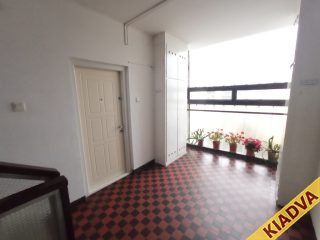 Kiadó 54 m²-estársasházi lakás XXI. Kerület (Vízmű lakótelep) , II.RÁKÓCZI FERENC út: 175'000 Ft