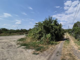 Eladó 2576 m²-estelek XXII. Kerület (Nagytétény Óhegy) , Barackos út: 19'000'000 Ft