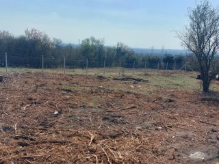 Eladó 3589 m²-estelek XXII. Kerület (Nagytétény Óhegy) , Mandulafa utca: 17'000'000 Ft